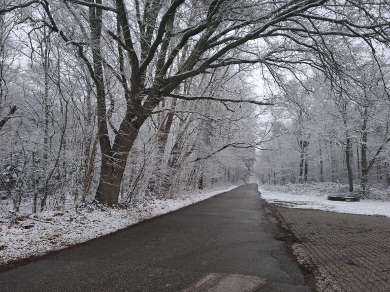 Sneeuw op de Groote Heide